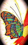 Original non disponible. La puissance de la transformation !