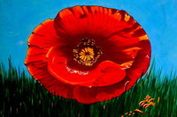 Original non disponible.Coquelicot Solo... il devait s'inspirer du coquelicot macro mais "l'accompagnement" devait &ecirc;tre &eacute;pur&eacute; et mettre en valeur le motif principal. toile 50X60