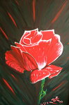 Original non disponible.Restons les pieds sur terre, c'est important, il n'y a pas que les aurores bor&eacute;ales qui comptent! ! rose enracin&eacute;e sur fond sombre !