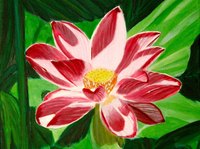 Original non disponible. Fleur de n&eacute;nuphar toile 40X 40