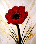 Coquelicot stylis&eacute; jaillissant de la terre