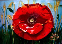 Original 50x60 380 � frais de port inclus. Coquelicot macro toile 50X60