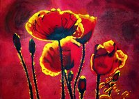 Original non disponible. Coquelicots lumineux